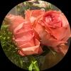 nancyrod1212